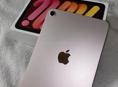 ipad 6 mini