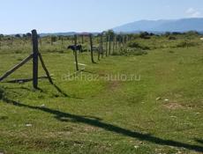 Цандрипш сальмах 6 сотак 