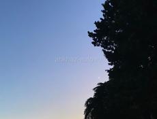 Мщу работу