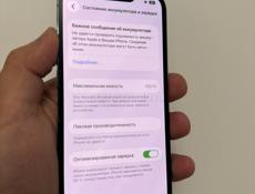 13 Pro 128gb 100%🔋