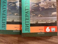 Книги 6 класс 