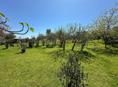 Продам участок Цандрипш рядом с границей и морем