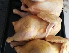 Куры