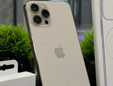 iPhone 12 Pro Max 256 100%