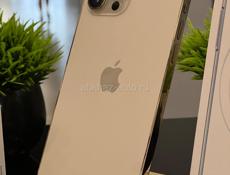 iPhone 12 Pro Max 256 100%