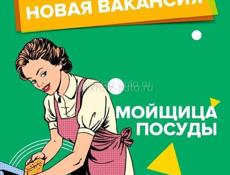 Я ищу работу мойщиком посуды. 