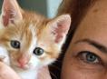 Котёнок с человеческими глазками 