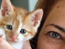 Котёнок с человеческими глазками 