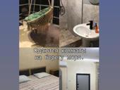 Комнаты на берегу моря.