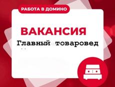 Вакансия: Главный товаровед в компанию Домино  Мы ищем специалиста с высоким уровнем профессионализма, отличным знанием 1С 8 и опытом работы в сфере складского учета.