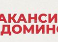 Вакансия: Кладовщик  на склад  Домино 