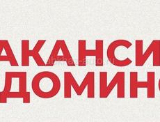 Вакансия: Кладовщик  на склад  Домино 