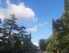 Срочно ищу работу