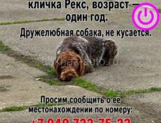 ОЖИВЛЮ ФОТО