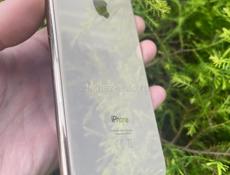 Ipnone xs max