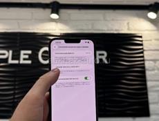 13 Pro Max 256Gb 🔋100%