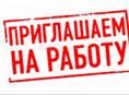 Ищем посудомойщицу
