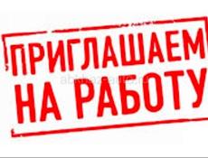 Ищем посудомойщицу