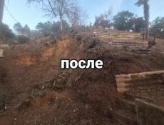 покос травы 