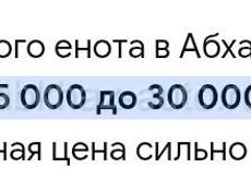 Продаю енот все вопросы на ватсап