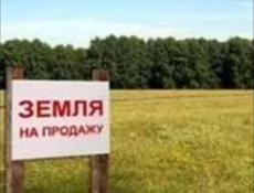 Бабушера 3