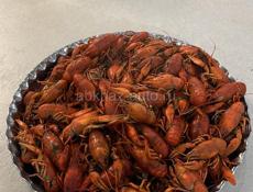 ЖИВЫЕ РАКИ 🦞 