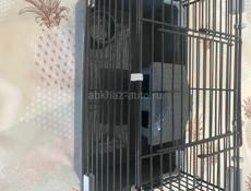 Продаю хомяка 