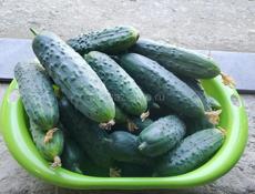 Продажа