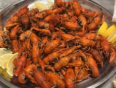 🦞 🦞 🦞 ЖИВЫЕ РАКИ 🦞 🦞 🦞 