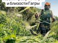 Покос травы 