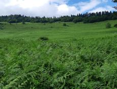 Ищу работу категория Д 