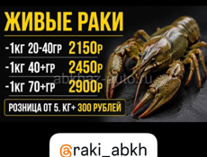 🦞 ЖИВОЙ РАК 🦞 