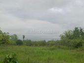 Участок 25 соток 