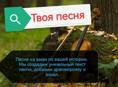 Твоя песня на заказ. 