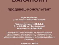 Продавец консультант 