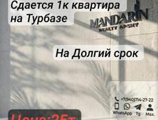 Сдается 1к квартира на Турбазе.