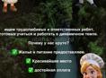 ВАКАНСИЯ!