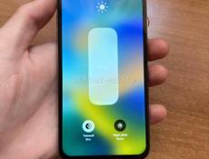 iPhone X
