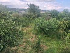Срочна цена снижена 