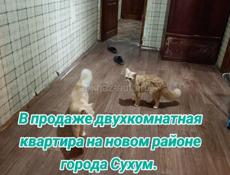 В продаже двух кв . Аргун 33 . Д, В собственность 