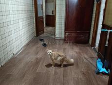 В продаже двух кв . Аргун 33 . Д, В собственность 