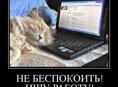 Девушка, ищу работу