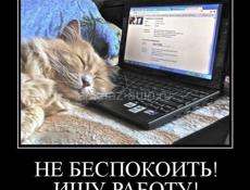 Девушка, ищу работу