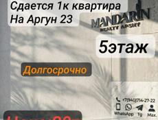 Сдам 1к квартиру на Аргун 23 
