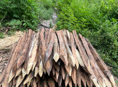 Колышки 