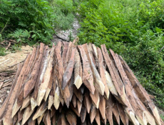 Колышки 
