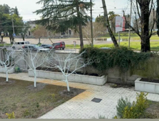 Квартира в Синопе