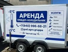 Аренда холодильника для мероприятий
