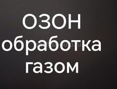 Обработка ОЗОНОМ авто и помещений
