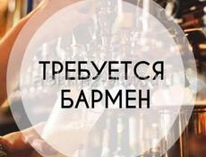 Бармен-кассир
